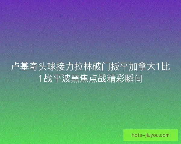 卢基奇头球接力拉林破门扳平加拿大1比1战平波黑焦点战精彩瞬间